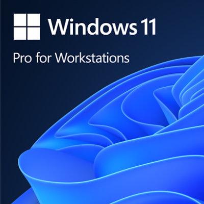 💻 Microsoft Windows 11 Pro 64 bits (FQC-10532)